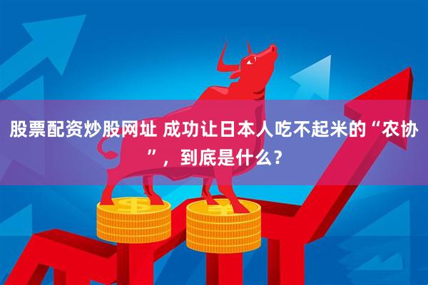 股票配资炒股网址 成功让日本人吃不起米的“农协”，到底是什么？