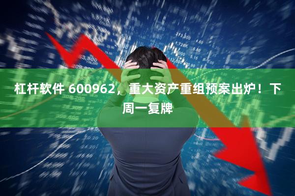 杠杆软件 600962，重大资产重组预案出炉！下周一复牌