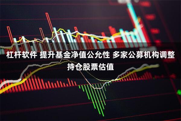 杠杆软件 提升基金净值公允性 多家公募机构调整持仓股票估值