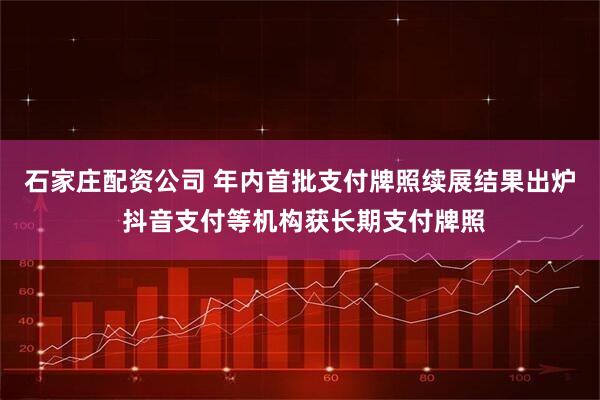 石家庄配资公司 年内首批支付牌照续展结果出炉 抖音支付等机构获长期支付牌照