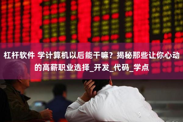 杠杆软件 学计算机以后能干嘛？揭秘那些让你心动的高薪职业选择_开发_代码_学点