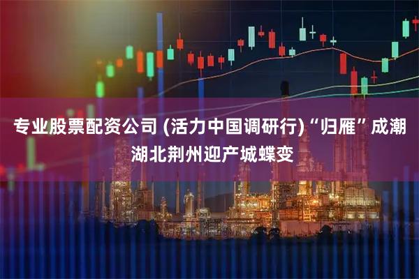 专业股票配资公司 (活力中国调研行)“归雁”成潮 湖北荆州迎产城蝶变