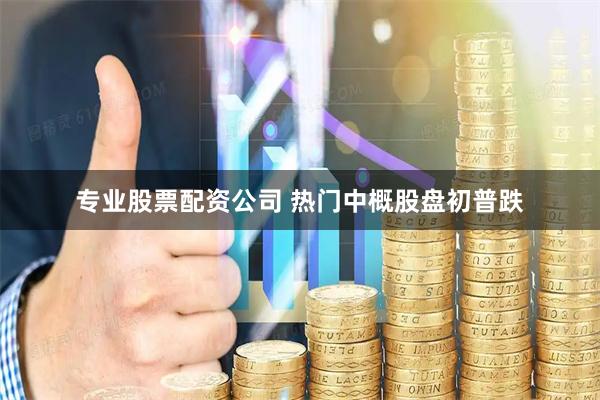 专业股票配资公司 热门中概股盘初普跌