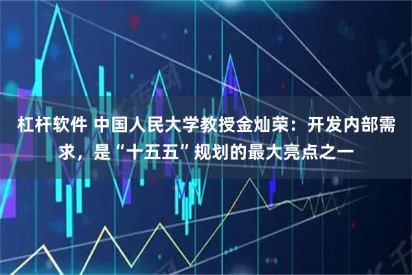 杠杆软件 中国人民大学教授金灿荣：开发内部需求，是“十五五”规划的最大亮点之一