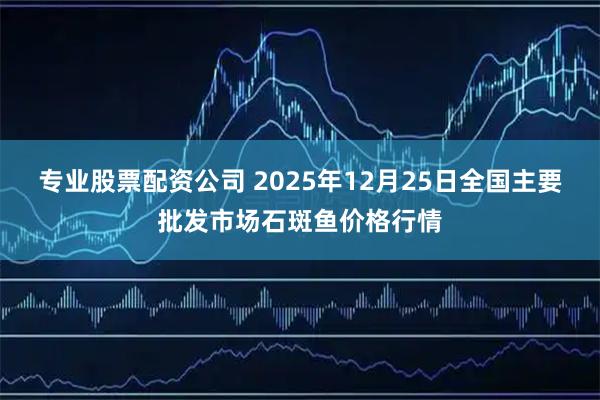 专业股票配资公司 2025年12月25日全国主要批发市场石斑鱼价格行情